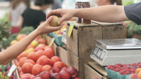 trh apples-1841132 1280